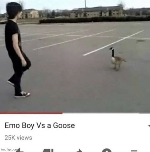 YouTube shitpost | image tagged in youtube shitpost | made w/ Imgflip meme maker