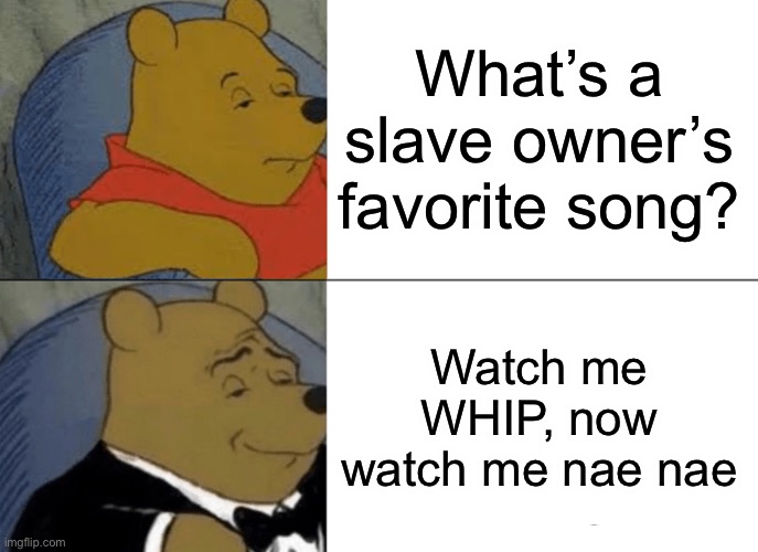 dark humor. | What’s a slave owner’s favorite song? Watch me WHIP, now watch me nae nae | image tagged in memes,tuxedo winnie the pooh | made w/ Imgflip meme maker