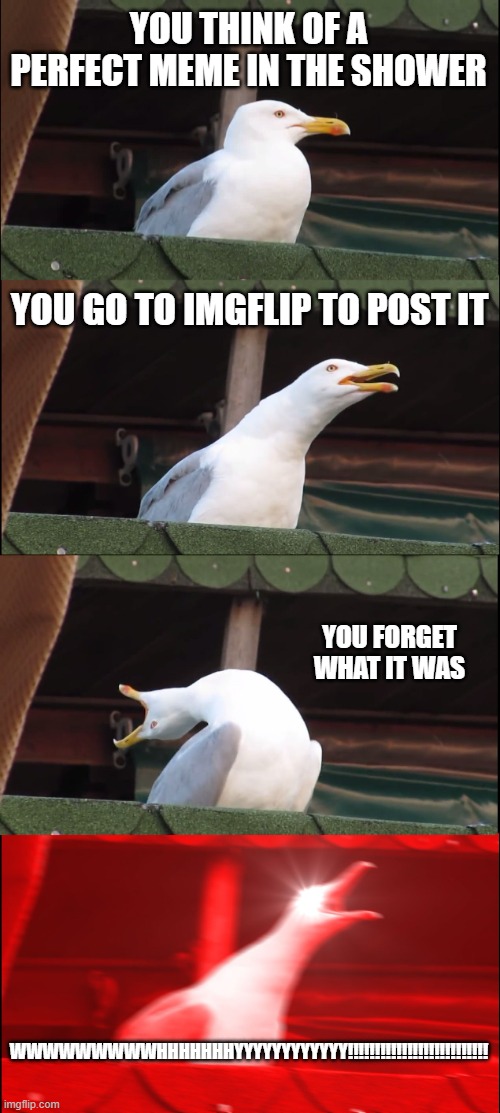 Inhaling Seagull | YOU THINK OF A PERFECT MEME IN THE SHOWER; YOU GO TO IMGFLIP TO POST IT; YOU FORGET WHAT IT WAS; WWWWWWWWWHHHHHHHYYYYYYYYYYYY!!!!!!!!!!!!!!!!!!!!!!!!!! | image tagged in memes,inhaling seagull | made w/ Imgflip meme maker