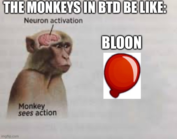 Bloons tower defense in a nutshell | THE MONKEYS IN BTD BE LIKE:; BLOON | image tagged in neuron activation | made w/ Imgflip meme maker
