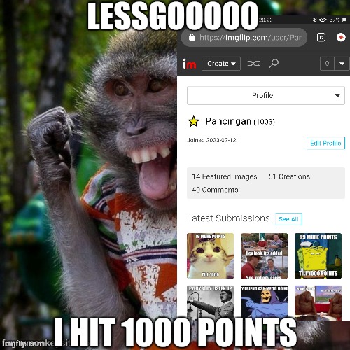 LESSSGOOOOOO | LESSGOOOOO; I HIT 1000 POINTS | image tagged in 10000 points,imgflip points | made w/ Imgflip meme maker