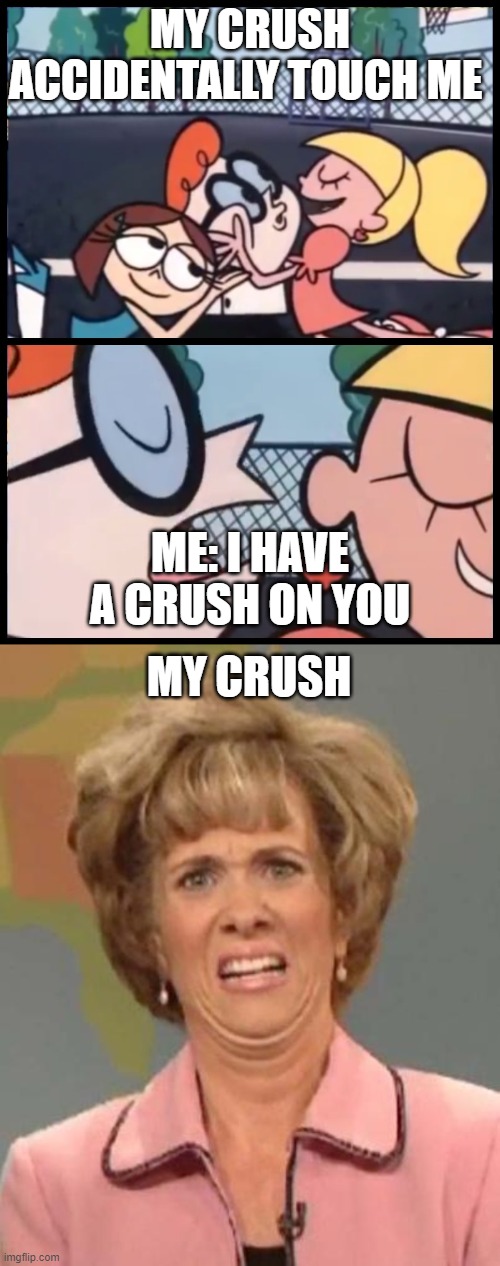 painfully relatable | MY CRUSH ACCIDENTALLY TOUCH ME; ME: I HAVE A CRUSH ON YOU; MY CRUSH | image tagged in memes,say it again dexter,disgusted kristin wiig | made w/ Imgflip meme maker