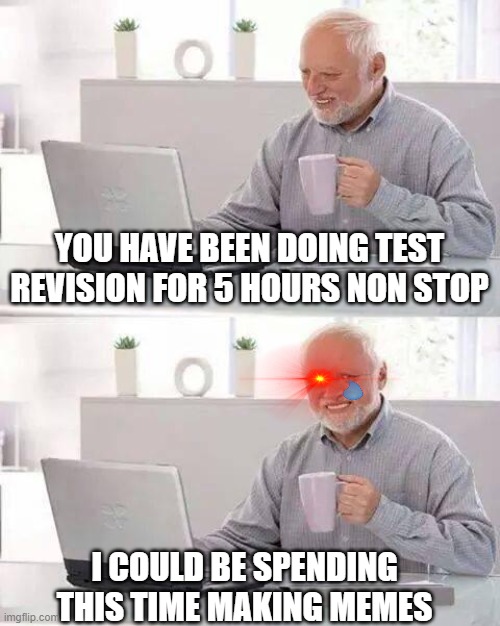 Hide the Pain Harold Meme | YOU HAVE BEEN DOING TEST REVISION FOR 5 HOURS NON STOP; I COULD BE SPENDING THIS TIME MAKING MEMES | image tagged in memes,hide the pain harold | made w/ Imgflip meme maker