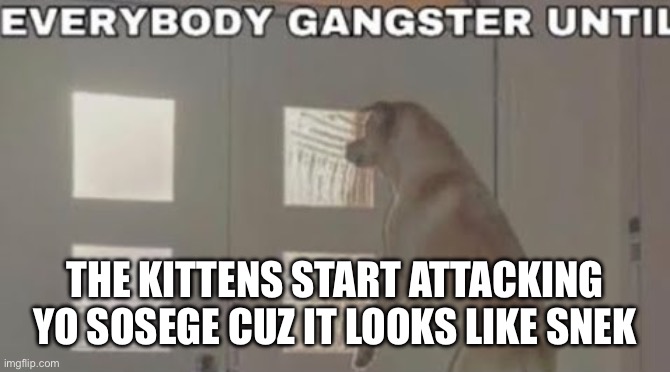 Everybody Gangster Until | THE KITTENS START ATTACKING YO SOSEGE CUZ IT LOOKS LIKE SNEK | image tagged in everybody gangster until | made w/ Imgflip meme maker