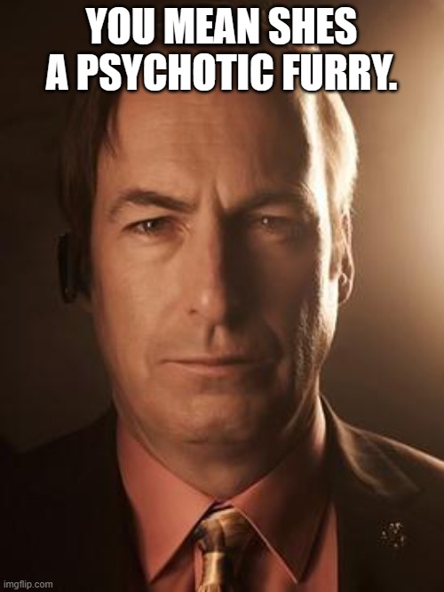 Saul Goodman | YOU MEAN SHES A PSYCHOTIC FURRY. | image tagged in saul goodman | made w/ Imgflip meme maker