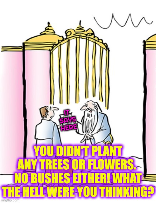 Plant Hundreds Of Trees And Flowers And Bushes | IT SAYS HERE; YOU DIDN'T PLANT ANY TREES OR FLOWERS.  NO BUSHES EITHER! WHAT THE HELL WERE YOU THINKING? | image tagged in st peter gates of heaven,plant some trees,tree hugger,tree of life,happy tree friends,memes | made w/ Imgflip meme maker