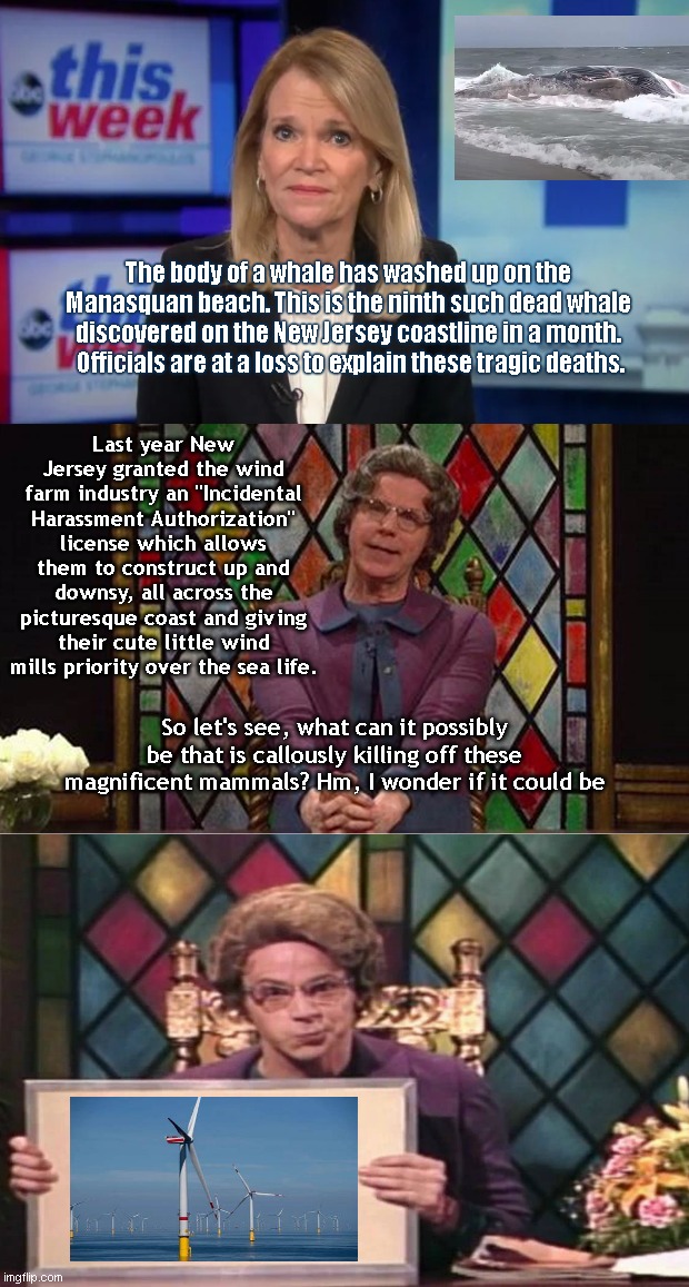 New Jersey's environmentally "conscientious" church spires of the sea | The body of a whale has washed up on the Manasquan beach. This is the ninth such dead whale discovered on the New Jersey coastline in a month.  Officials are at a loss to explain these tragic deaths. Last year New Jersey granted the wind farm industry an "Incidental Harassment Authorization" license which allows them to construct up and downsy, all across the picturesque coast and giving their cute little wind mills priority over the sea life. So let's see, what can it possibly be that is callously killing off these magnificent mammals? Hm, I wonder if it could be | image tagged in new jersey,dead whales,killer wind mills,wind turbines,the church lady,green energy hypocrisy | made w/ Imgflip meme maker