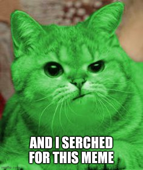 RayCat Annoyed | AND I SERCHED FOR THIS MEME | image tagged in raycat annoyed | made w/ Imgflip meme maker