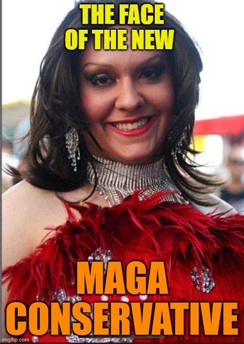 George Santos Drag Queen | THE FACE OF THE NEW MAGA CONSERVATIVE | image tagged in george santos drag queen | made w/ Imgflip meme maker