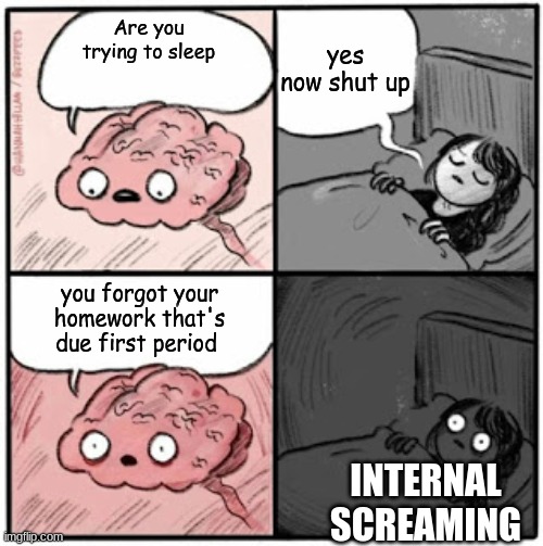 Brain Before Sleep | yes now shut up; Are you trying to sleep; you forgot your homework that's due first period; INTERNAL SCREAMING | image tagged in brain before sleep | made w/ Imgflip meme maker