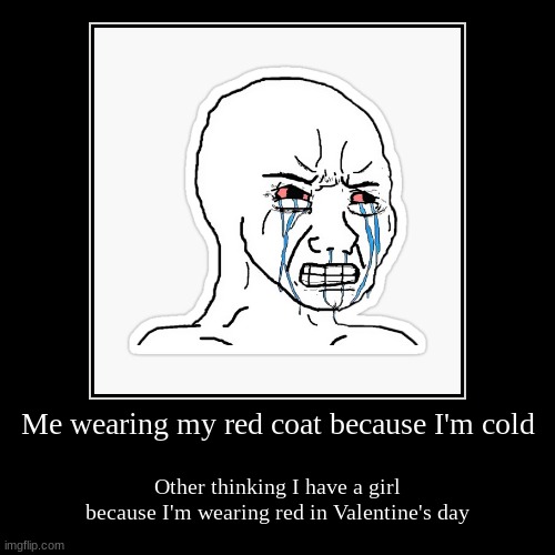Me Sad | image tagged in funny,demotivationals,sad but true,sadness,valentine's day,no bitches | made w/ Imgflip demotivational maker