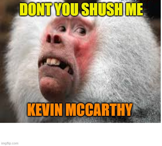 DONT YOU SHUSH ME KEVIN MCCARTHY | made w/ Imgflip meme maker