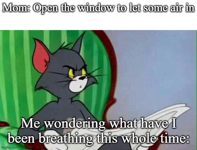WhAt | Mom: Open the window to let some air in; Me wondering what have I been breathing this whole time: | image tagged in tom and jerry | made w/ Imgflip meme maker