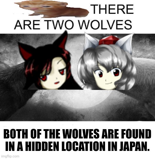 Inside you there are two wolves | BOTH OF THE WOLVES ARE FOUND IN A HIDDEN LOCATION IN JAPAN. | image tagged in memes,touhou,dog | made w/ Imgflip meme maker