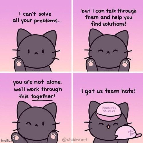 image tagged in memes,comics,together,cats,team,hats | made w/ Imgflip meme maker