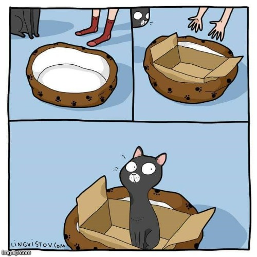 A Cats Way Of Thinking | image tagged in memes,comics,cats,bed,oh no,box | made w/ Imgflip meme maker