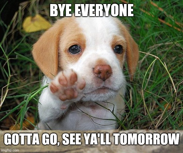 Bye bye | BYE EVERYONE; GOTTA GO, SEE YA'LL TOMORROW | image tagged in dog puppy bye | made w/ Imgflip meme maker