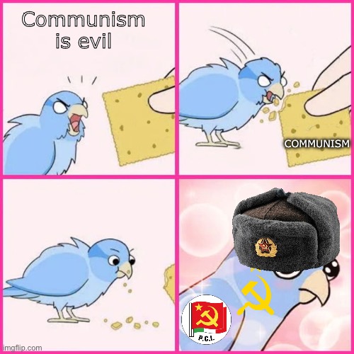 America ain’t gonna be happy bird betray them | Communism is evil; COMMUNISM | image tagged in bird cracker blank,communism | made w/ Imgflip meme maker