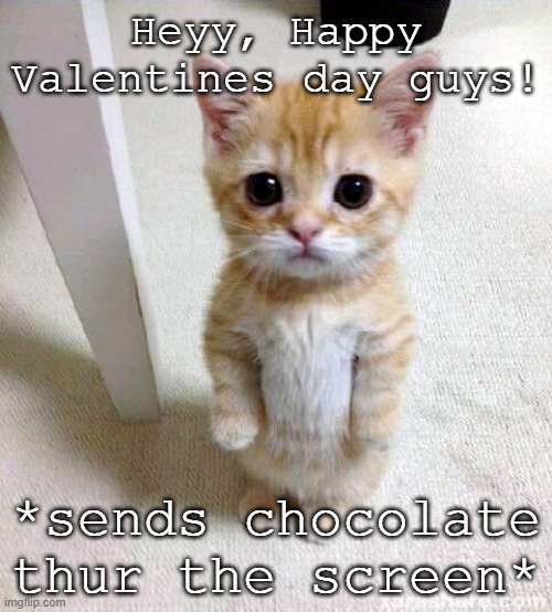 Happy Valentines day yall! ( i aint got not valentine*cries* ) | Heyy, Happy Valentines day guys! *sends chocolate thur the screen* | image tagged in memes,cute cat | made w/ Imgflip meme maker