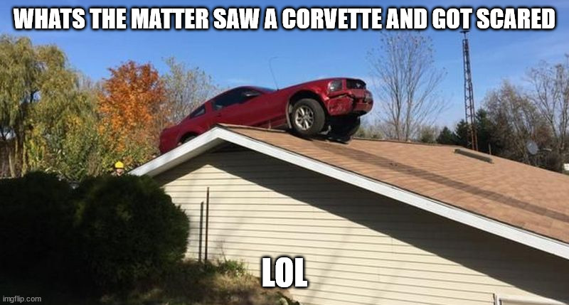 Mustang on a roof | WHATS THE MATTER SAW A CORVETTE AND GOT SCARED; LOL | image tagged in mustang on a roof | made w/ Imgflip meme maker
