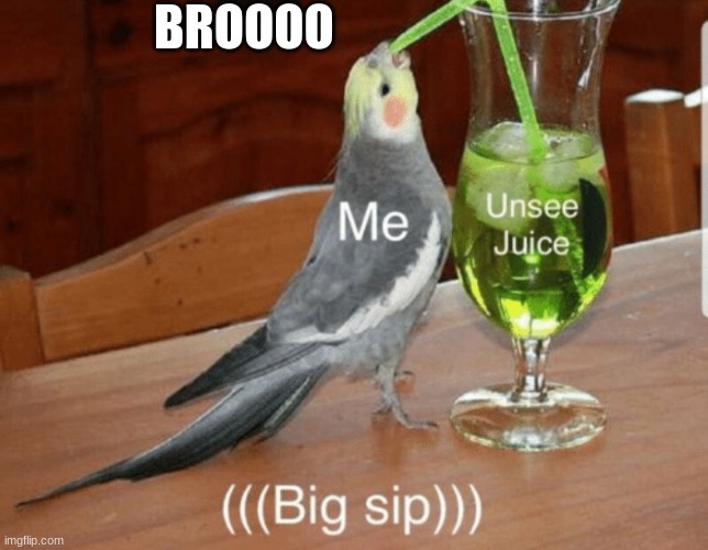 Unsee juice | BROOOO | image tagged in unsee juice | made w/ Imgflip meme maker