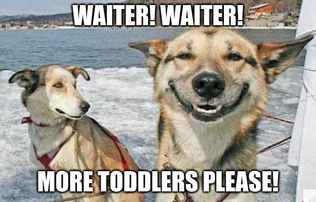 Waiter! | WAITER! WAITER! MORE TODDLERS PLEASE! | image tagged in memes,original stoner dog | made w/ Imgflip meme maker