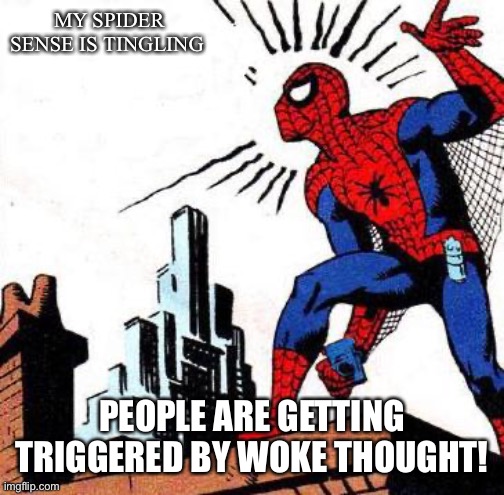 Spider Senses | MY SPIDER SENSE IS TINGLING PEOPLE ARE GETTING TRIGGERED BY WOKE THOUGHT! | image tagged in spider senses | made w/ Imgflip meme maker