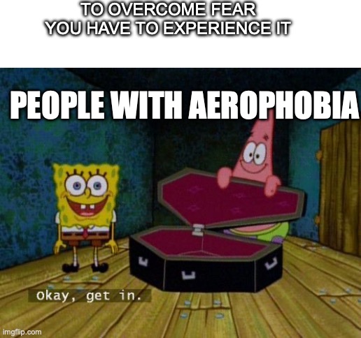 Okay Get In | TO OVERCOME FEAR YOU HAVE TO EXPERIENCE IT; PEOPLE WITH AEROPHOBIA | image tagged in okay get in | made w/ Imgflip meme maker