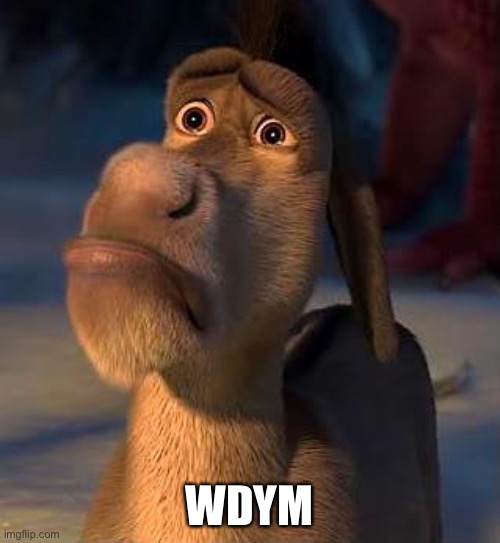 sad donkey | WDYM | image tagged in sad donkey | made w/ Imgflip meme maker