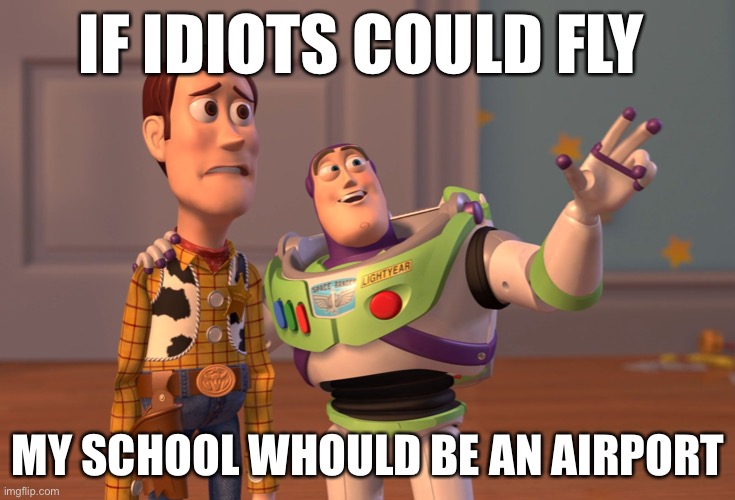 X, X Everywhere Meme | IF IDIOTS COULD FLY; MY SCHOOL WHOULD BE AN AIRPORT | image tagged in memes,x x everywhere | made w/ Imgflip meme maker