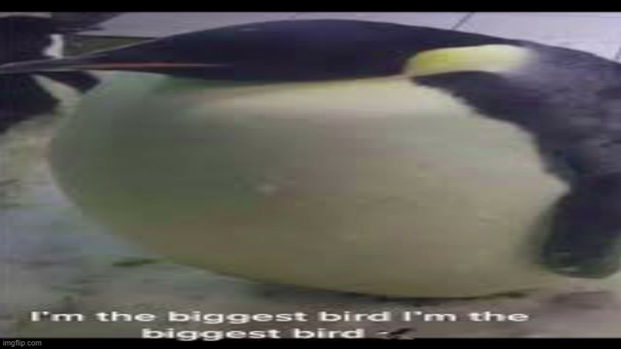 . | made w/ Imgflip meme maker