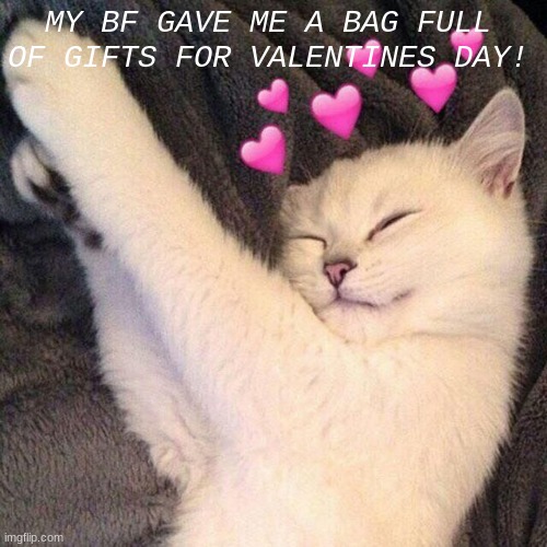 valentines | MY BF GAVE ME A BAG FULL OF GIFTS FOR VALENTINES DAY! | made w/ Imgflip meme maker