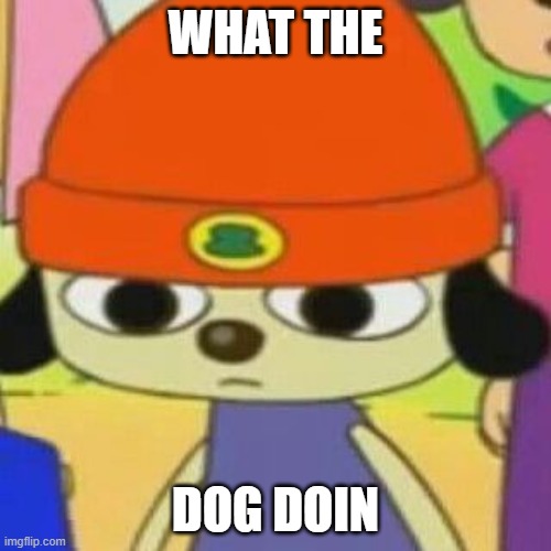 PaRappa Face | WHAT THE; DOG DOIN | image tagged in parappa face | made w/ Imgflip meme maker