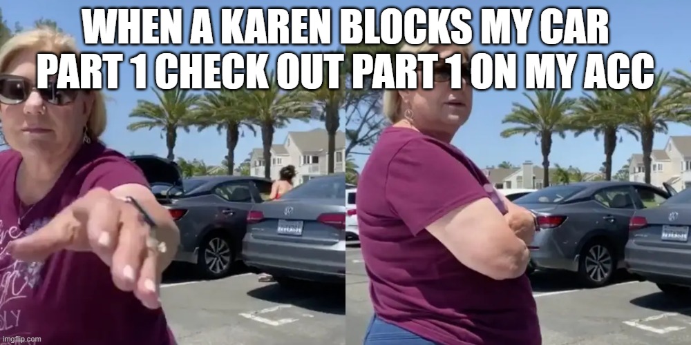 KarensSuck | WHEN A KAREN BLOCKS MY CAR PART 1 CHECK OUT PART 1 ON MY ACC | image tagged in getridofkarens,karenssuck | made w/ Imgflip meme maker