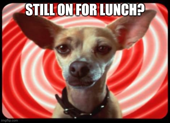 Lunch? | STILL ON FOR LUNCH? | image tagged in taco bell dog | made w/ Imgflip meme maker