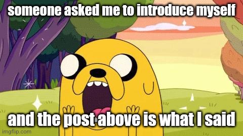 Adventure Time Jake | someone asked me to introduce myself; and the post above is what I said | image tagged in adventure time jake | made w/ Imgflip meme maker