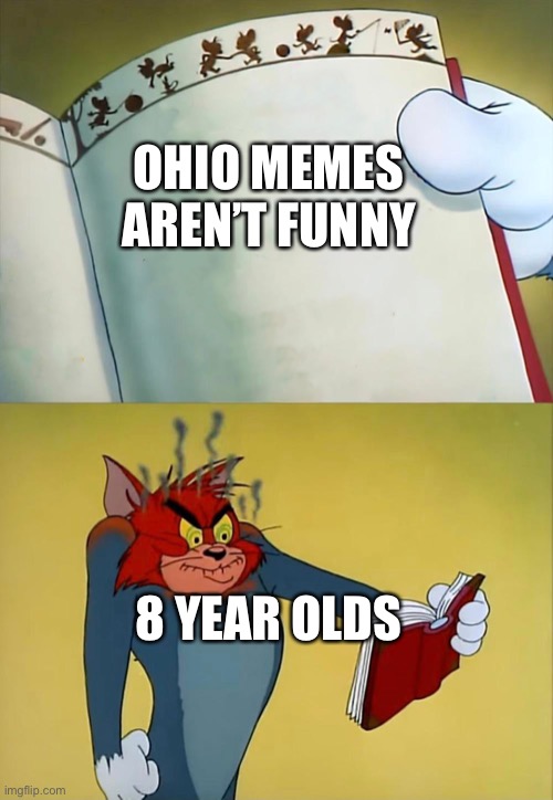 Ohio memes aren’t funny | OHIO MEMES AREN’T FUNNY; 8 YEAR OLDS | image tagged in tom angry is because of book | made w/ Imgflip meme maker