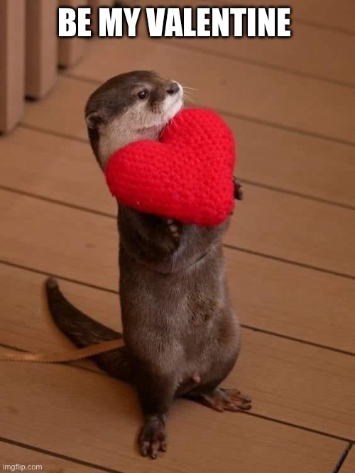 Otter Valentine | BE MY VALENTINE | image tagged in otter valentine | made w/ Imgflip meme maker