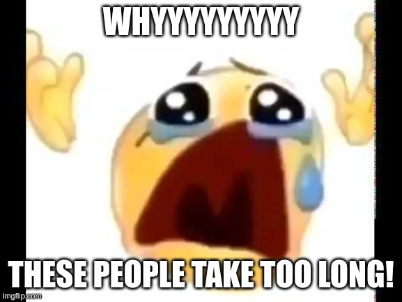 cursed crying emoji | WHYYYYYYYYY THESE PEOPLE TAKE TOO LONG! | image tagged in cursed crying emoji | made w/ Imgflip meme maker