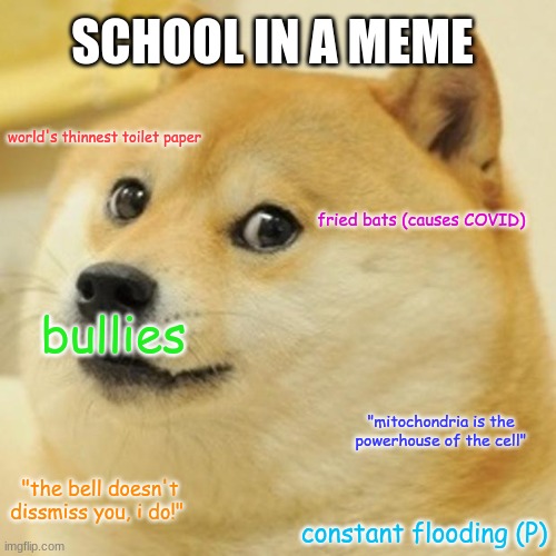 Doge Meme | SCHOOL IN A MEME; world's thinnest toilet paper; fried bats (causes COVID); bullies; "mitochondria is the powerhouse of the cell"; "the bell doesn't dissmiss you, i do!"; constant flooding (P) | image tagged in memes,doge | made w/ Imgflip meme maker