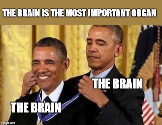 obama medal | THE BRAIN IS THE MOST IMPORTANT ORGAN; THE BRAIN; THE BRAIN | image tagged in obama medal | made w/ Imgflip meme maker