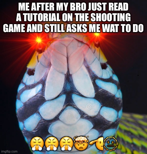 Darn | ME AFTER MY BRO JUST READ A TUTORIAL ON THE SHOOTING GAME AND STILL ASKS ME WAT TO DO; 😤😤😤🤯🫡🫥 | image tagged in little brother | made w/ Imgflip meme maker