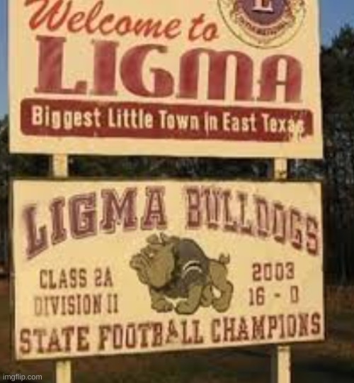 C'MON BOYS WE'RE GOING TO LIGMA | made w/ Imgflip meme maker