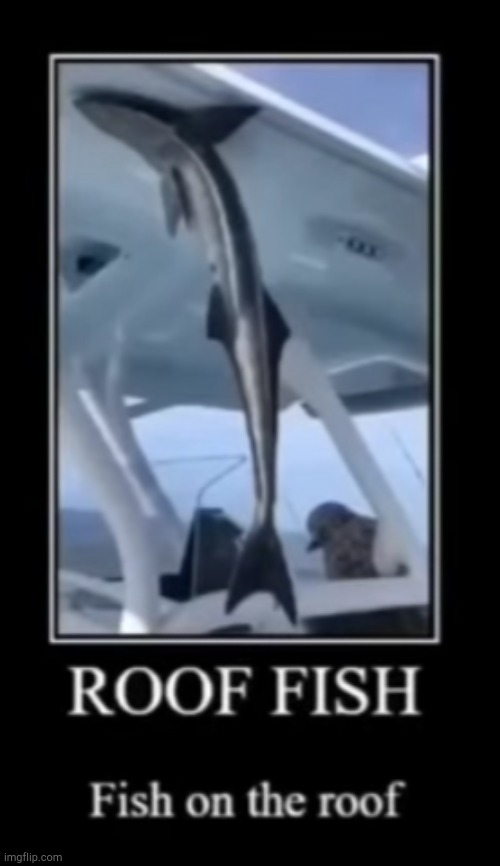 ROOF FISH | made w/ Imgflip meme maker