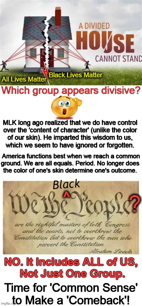 "We The People" Should Unite as "Americans" | Black Lives Matter; All Lives Matter; Which group appears divisive? MLK long ago realized that we do have control 
over the 'content of character' (unlike the color 
of our skin). He imparted this wisdom to us, 
which we seem to have ignored or forgotten. America functions best when we reach a common ground. We are all equals. Period. No longer does 
the color of one's skin determine one's outcome. ? Black; ^; NO. It Includes ALL of US, 
Not Just One Group. Time for 'Common Sense' 
to Make a 'Comeback'! | image tagged in politics,unity,division,blm,all lives matter,americans | made w/ Imgflip meme maker