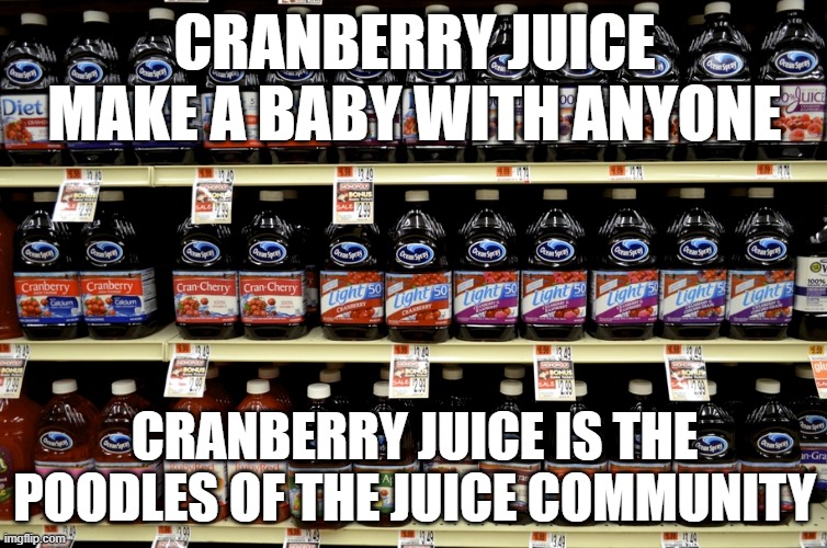 CRANBERRY JUICE MAKE A BABY WITH ANYONE; CRANBERRY JUICE IS THE POODLES OF THE JUICE COMMUNITY | made w/ Imgflip meme maker