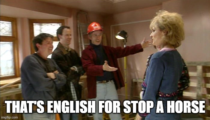 Stop a horse | THAT'S ENGLISH FOR STOP A HORSE | image tagged in alan partridge,woah | made w/ Imgflip meme maker