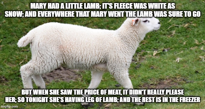 I bet you didn't hear THIS nursery rhyme! | MARY HAD A LITTLE LAMB; IT'S FLEECE WAS WHITE AS SNOW; AND EVERYWHERE THAT MARY WENT THE LAMB WAS SURE TO GO; BUT WHEN SHE SAW THE PRICE OF MEAT, IT DIDN'T REALLY PLEASE HER; SO TONIGHT SHE'S HAVING LEG OF LAMB; AND THE REST IS IN THE FREEZER | image tagged in nursery rhymes,dark humor | made w/ Imgflip meme maker
