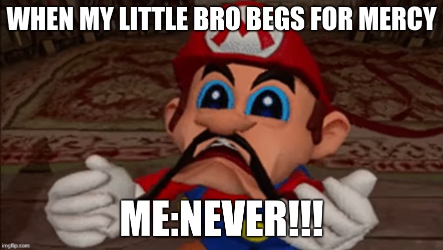 Beg for mercy | WHEN MY LITTLE BRO BEGS FOR MERCY; ME:NEVER!!! | image tagged in memes,funny memes,lol so funny | made w/ Imgflip meme maker