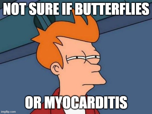 Happy Valentines Day, IMGflip! | NOT SURE IF BUTTERFLIES; OR MYOCARDITIS | image tagged in memes,futurama fry | made w/ Imgflip meme maker